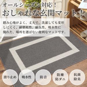 玄関マット 屋外 泥落とし 室内 洗える 大き...の詳細画像1
