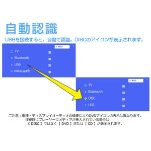AV-CDV01 Bullcon ブルコン フ...の詳細画像1