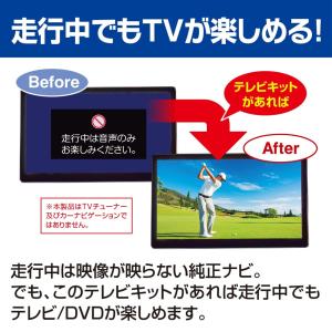 TTV443S データシステム Datasys...の詳細画像1