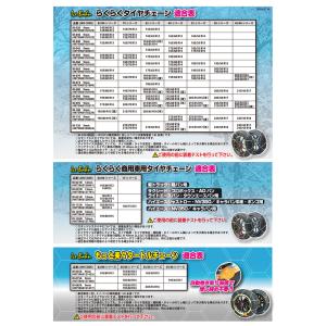 IB-060 ニューレイトン アイスバーン ら...の詳細画像1