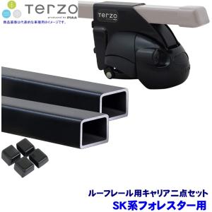 ケーブイプラス KV＋ クロスカントリースキー ローラースキー スケー