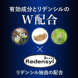 REDEN リデン 育毛剤 90ml スカルプ...の詳細画像2