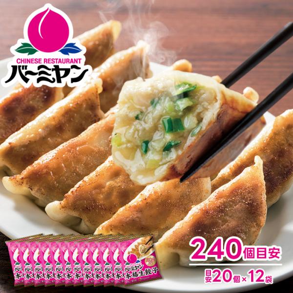 すかいらーく バーミヤン 冷凍生餃子（目安20個）×12袋 合計240個（目安） 1個約23g