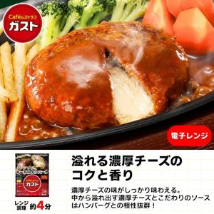 冷凍食品 惣菜 餃子 ハンバーグ洋食&中華スペ...の詳細画像2