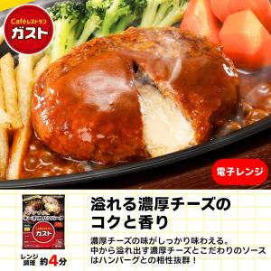 冷凍食品 惣菜 すかいらーく グルメデビューセ...の詳細画像3
