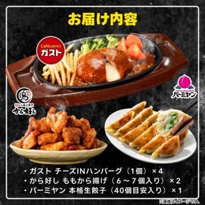 冷凍食品 惣菜 ハンバーグ から揚げ 餃子 す...の詳細画像1