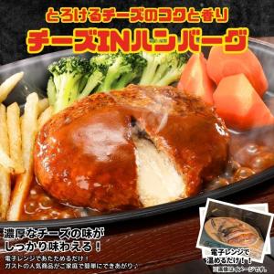冷凍食品 惣菜 ハンバーグ から揚げ 餃子 す...の詳細画像2
