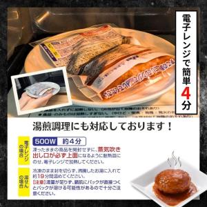 冷凍食品 惣菜 ハンバーグ から揚げ 餃子 す...の詳細画像3