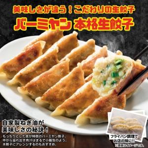 冷凍食品 惣菜 ハンバーグ から揚げ 餃子 す...の詳細画像5