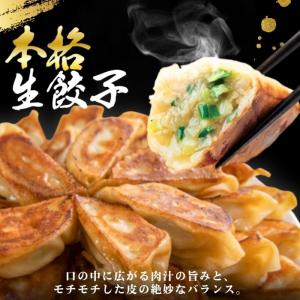 冷凍食品 惣菜 餃子 炒飯 /バーミヤンスペシ...の詳細画像2