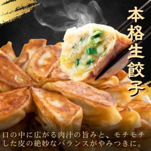 冷凍食品 惣菜 餃子 炒飯 バーミヤン グルメ...の詳細画像1