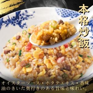冷凍食品 惣菜 餃子 炒飯 バーミヤン グルメ...の詳細画像2