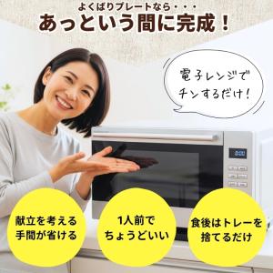 冷凍食品 惣菜 すかいらーく よくばりプレート...の詳細画像4