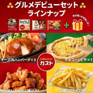 冷凍食品 惣菜 ハンバーグ から揚げガスト グ...の詳細画像1
