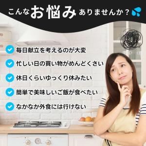 冷凍食品 惣菜 ハンバーグ から揚げガスト グ...の詳細画像2