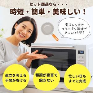 冷凍食品 惣菜 ハンバーグ から揚げガスト グ...の詳細画像3