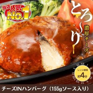 冷凍食品 惣菜 ハンバーグ から揚げガスト グ...の詳細画像4