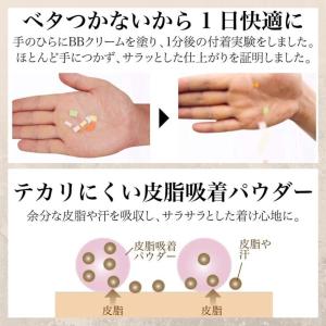 メイコー化粧品 フィトグラム PHYTOGRA...の詳細画像3