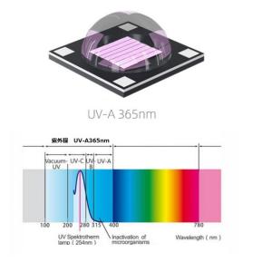 365nm UV 紫外線ライト アニサキス発見...の詳細画像2