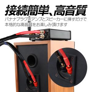 バナナプラグ付 スピーカーケーブル 金メッキ ...の詳細画像4