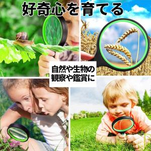 拡大鏡 手持ちルーペ 10倍率 直径約100m...の詳細画像4