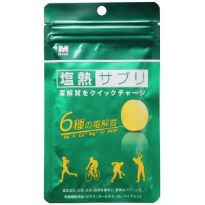【メール便のみ】【ENNETSU/塩熱サプリ】 ...の商品画像