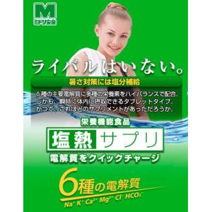 【メール便のみ】【ENNETSU/塩熱サプリ】...の詳細画像2