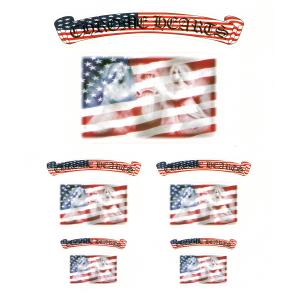 CHROME HEARTS STICKERS USA FLAG クロムハーツ　ステッカー　アメリカ国旗