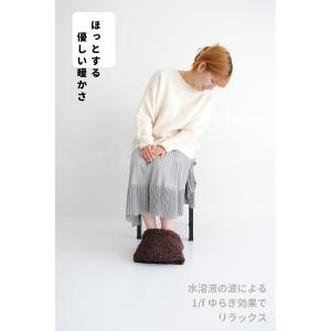 湯たんぽ 充電式 足入れタイプ 足用 あったか...の詳細画像3