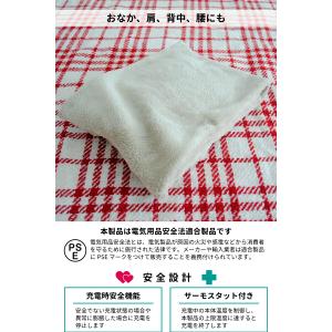 湯たんぽ 充電式 足入れタイプ 足用 あったか...の詳細画像5