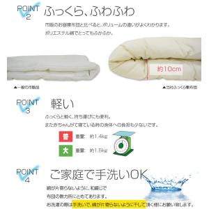 ふっくら お昼寝布団 お昼寝ふとん 敷き布団 ...の詳細画像2