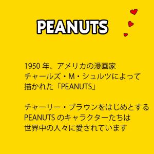 スヌーピー ラグマット 正方形 長方形 冷感ラ...の詳細画像2