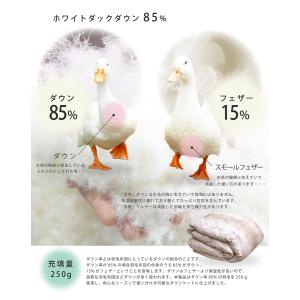 クーポン利用で2枚目半額 ダウンケット 昭和西...の詳細画像3