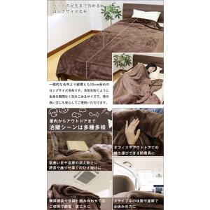 毛布 西川 送料無料 フランネルニューマイヤー...の詳細画像2