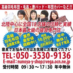 毛布 西川 送料無料 フランネルニューマイヤー...の詳細画像3
