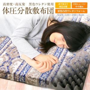 西川（nishikawa） ドクターセラ ルナ 家庭用電位治療器 敷きふとん