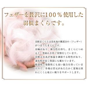 枕 送料無料 43×120cm ロング羽根枕 ...の詳細画像2