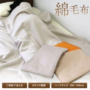 グランフランセヌーベル 吸湿発熱綿入りハイソフトタッチ敷パット2P