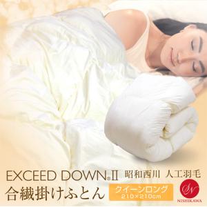 昭和西川 掛け布団 抗菌防臭 洗える 合繊掛けふとん SL シングル