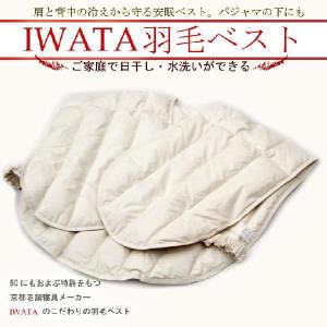 西川（nishikawa） 肩当て 羽毛 セリーヌ SAT5553791 : ふとん通販