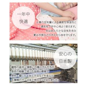 ガーゼケット シングル 日本製 6重ガーゼケッ...の詳細画像2
