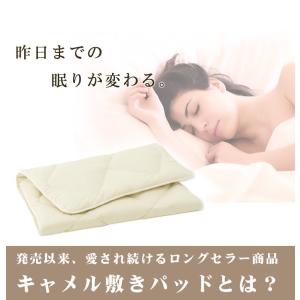 敷布団 敷きパッド イワタ キャメル 敷き布団...の詳細画像1
