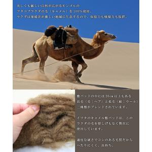 敷布団 敷きパッド イワタ キャメル 敷き布団...の詳細画像2