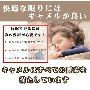 敷布団 敷きパッド イワタ キャメル 敷き布団...の詳細画像4