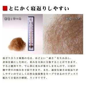 敷布団 敷きパッド イワタ キャメル 敷き布団...の詳細画像5