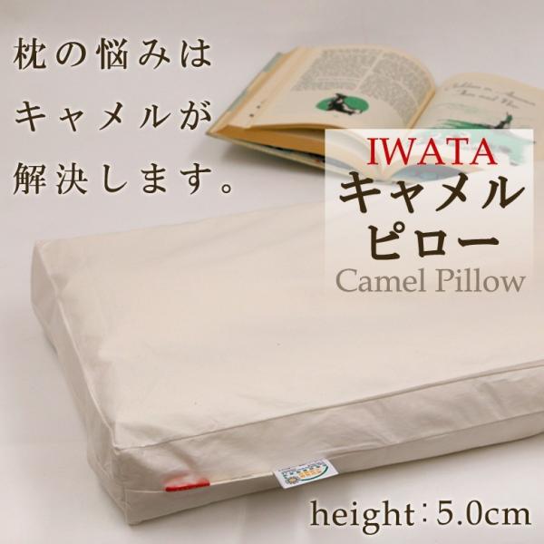 枕 イワタ キャメル枕 43×63cm 高さ5cm 高め 日本製 キャメルピロー 国産 ムレにくい ...