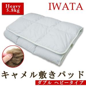 枕 イワタ キャメル枕 43×63cm 高さ3cm 日本製 キャメルピロー 国産