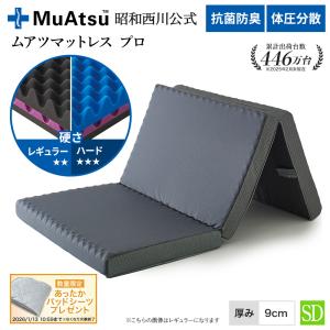 西川エアー　ベッドマットレス　セミダブル レギュラー nishikawa/西川】[エアーSX]マットレス/レギュラー ダブルサイズ