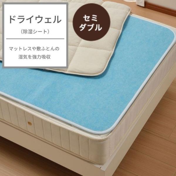 東京西川 ドライウェル ドライシート セミダブル 強力吸湿 抗菌防臭加工 抗菌加工 洗える 折りたた...