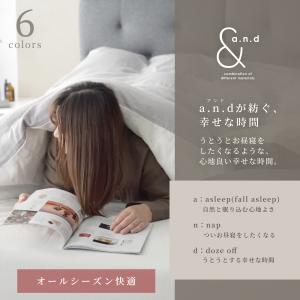 掛け布団カバー シングル リネン 和晒し綿ダブ...の詳細画像4